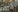 full automatic conveyor.png