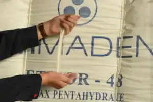 bórax en polvo 600x400